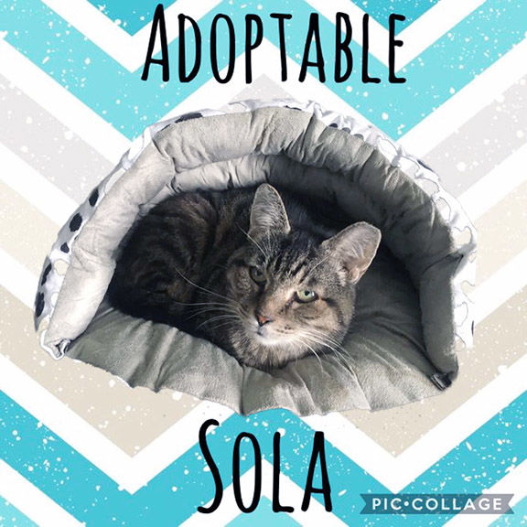 Pet of the Week